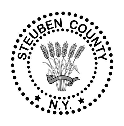 steuben county 1